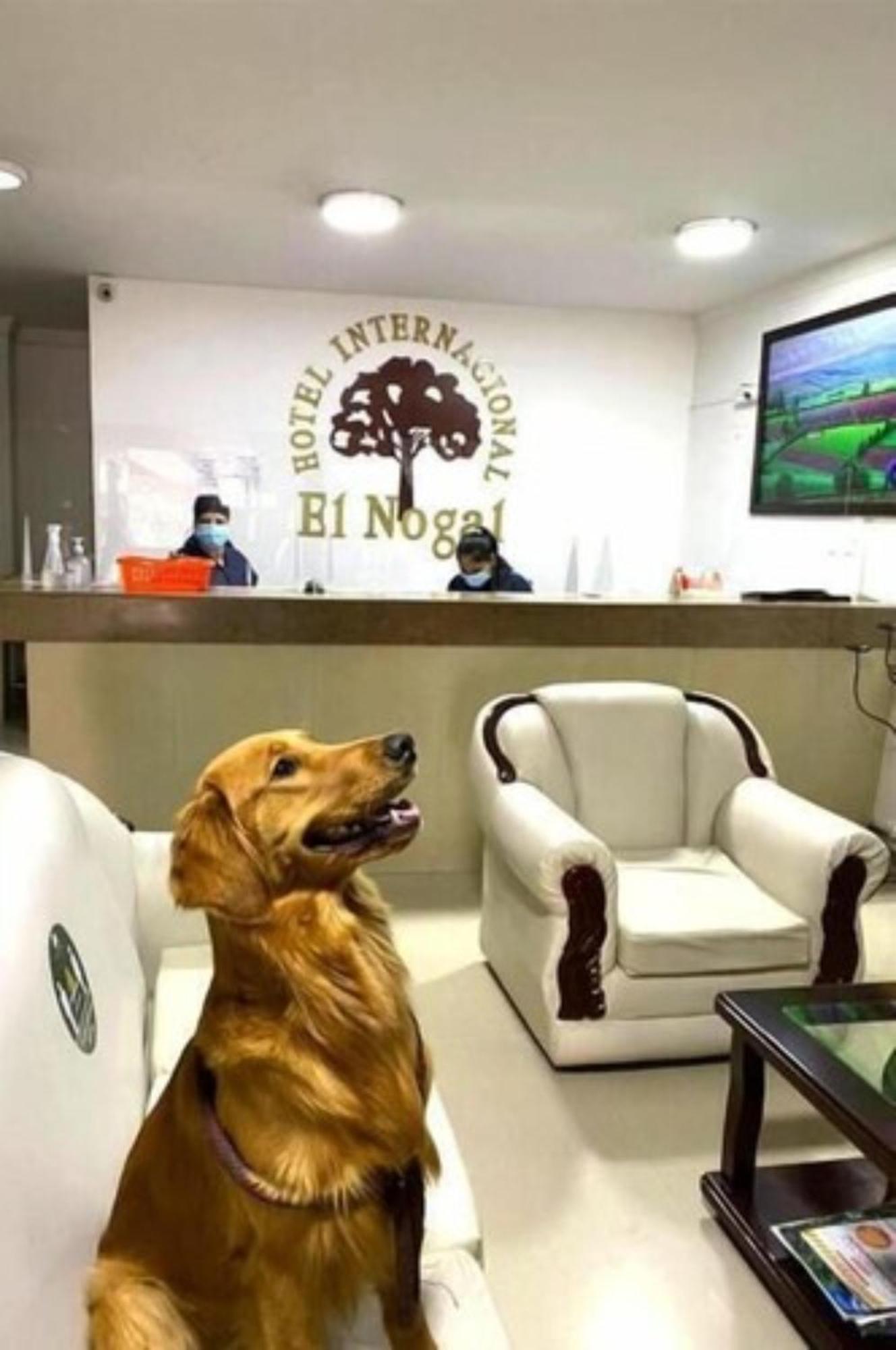 Hotel Internacional El Nogal Ipiales Esterno foto